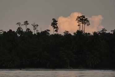 Mentawai Retreats - Image 3
