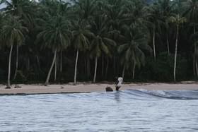 Mentawai Retreats - Image 4