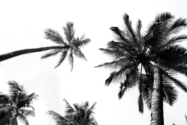 Mentawai Retreats - Image 20