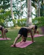 Mentawai Retreats - Image 21