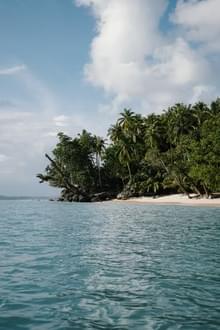 Mentawai Retreats - Image 23